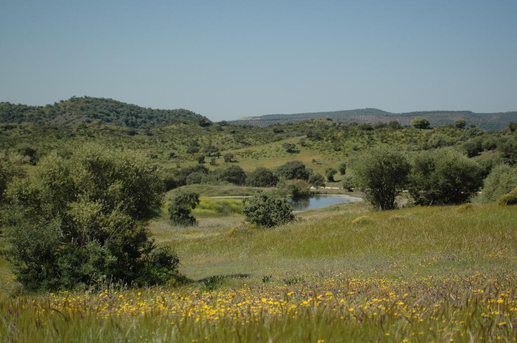 빌라프랑카드코르도바 Albergue Rural De Fuente Agria 호스텔 외부 사진